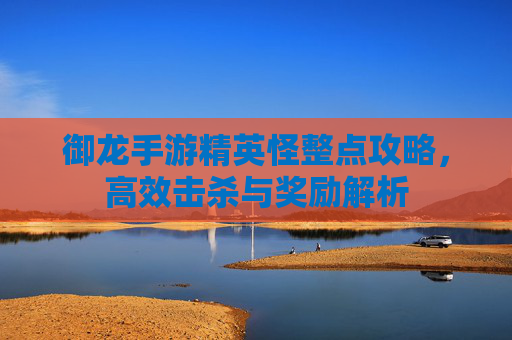 御龙手游精英怪整点攻略,高效击杀与奖励解析
