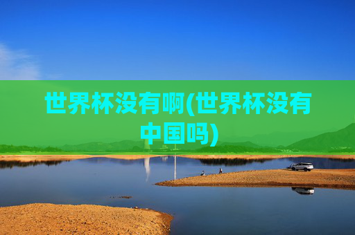 世界杯没有啊(世界杯没有中国吗)