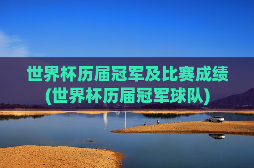 世界杯历届冠军及比赛成绩(世界杯历届冠军球队)