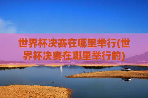 世界杯决赛在哪里举行(世界杯决赛在哪里举行的)