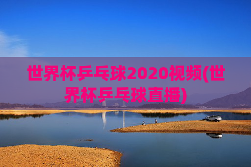 世界杯乒乓球2020视频(世界杯乒乓球直播)