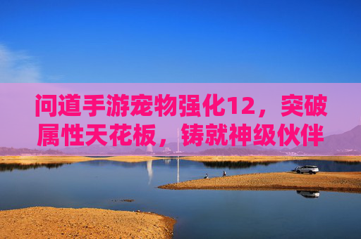 问道手游宠物强化12，突破属性天花板，铸就神级伙伴的进阶秘籍，问道手游宠物强化12，突破属性天花板，铸就神级伙伴的进阶秘籍