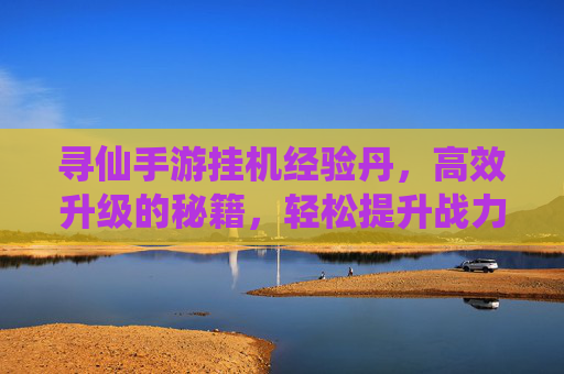 寻仙手游挂机经验丹，高效升级的秘籍，轻松提升战力