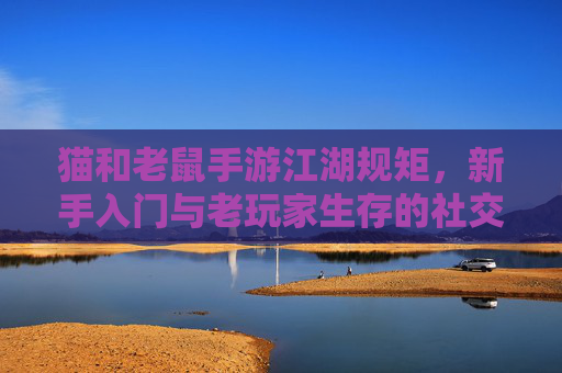 猫和老鼠手游江湖规矩，新手入门与老玩家生存的社交法则，猫和老鼠手游江湖规矩，新手入门与老玩家生存的社交法则