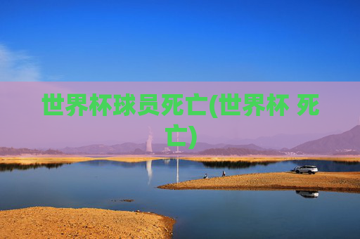 世界杯球员死亡(世界杯 死亡)