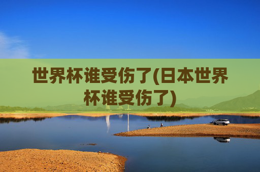 世界杯谁受伤了(日本世界杯谁受伤了)