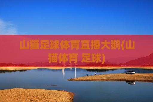 山猫足球体育直播大鹅(山猫体育 足球)