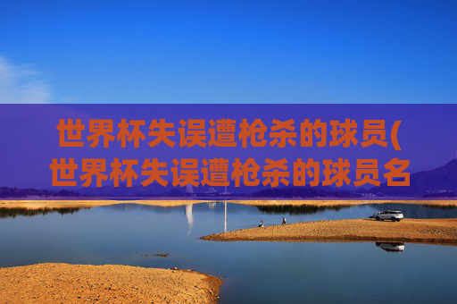 世界杯失误遭枪杀的球员(世界杯失误遭枪杀的球员名单)