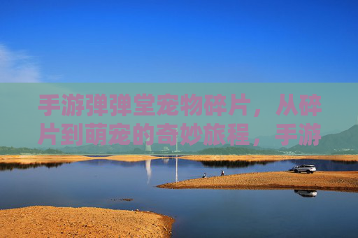 手游弹弹堂宠物碎片，从碎片到萌宠的奇妙旅程，手游弹弹堂宠物碎片，从碎片到萌宠的奇妙旅程