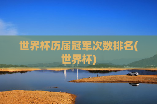 世界杯历届冠军次数排名(世界杯)
