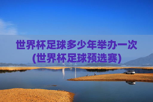 世界杯足球多少年举办一次(世界杯足球预选赛)