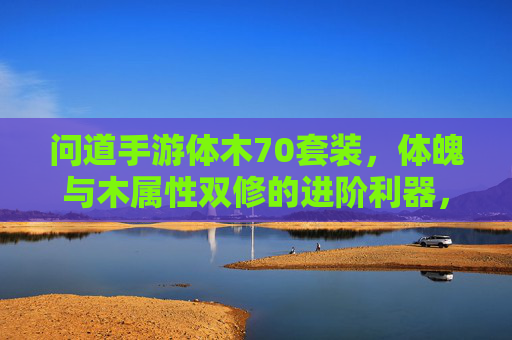 问道手游体木70套装，体魄与木属性双修的进阶利器，助玩家突破战斗瓶颈