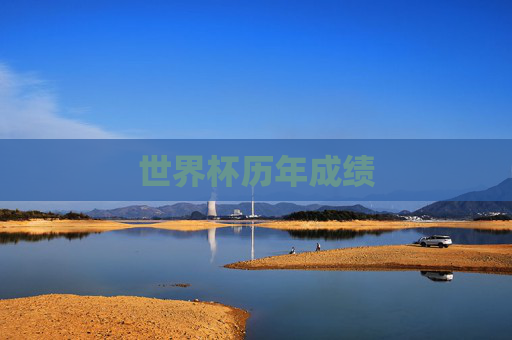 世界杯历年成绩