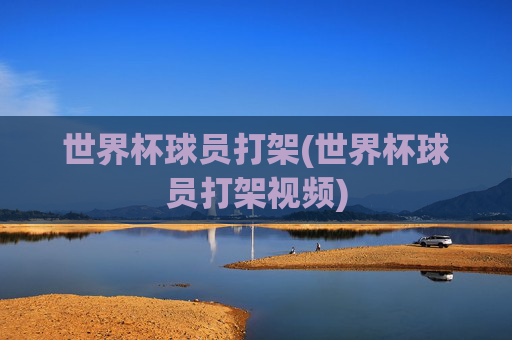 世界杯球员打架(世界杯球员打架视频)