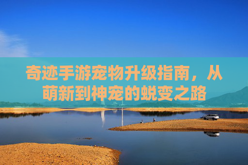 奇迹手游宠物升级指南,从萌新到神宠的蜕变之路