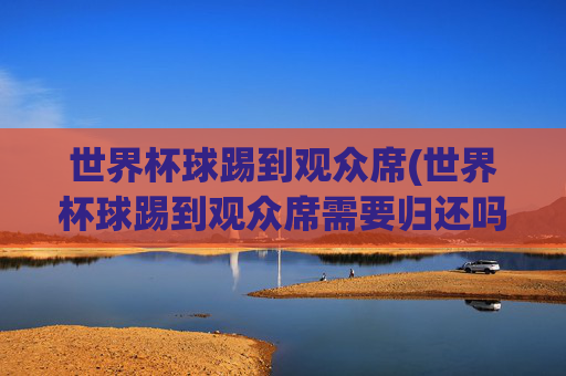 世界杯球踢到观众席(世界杯球踢到观众席需要归还吗)世界杯足球飞入观众席,球迷拿走后需归还吗?