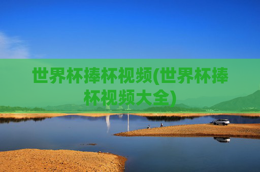 世界杯捧杯视频(世界杯捧杯视频大全)
