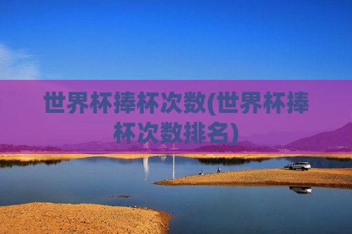 世界杯捧杯次数(世界杯捧杯次数排名)