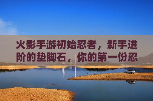 火影手游初始忍者，新手进阶的垫脚石，你的第一份忍者体验指南，火影手游初始忍者，新手进阶的垫脚石，你的第一份忍者体验指南