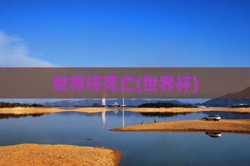 世界杯死亡(世界杯)