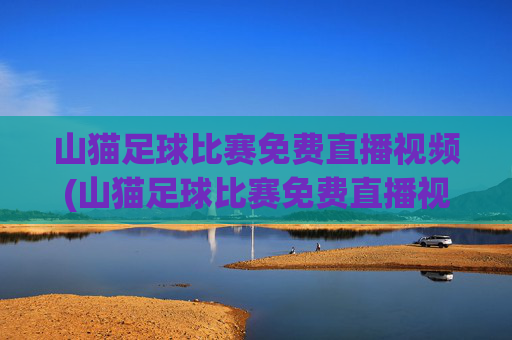 山猫足球比赛免费直播视频(山猫足球比赛免费直播视频在线观看)