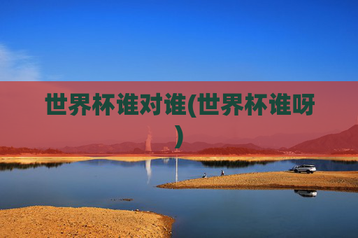 世界杯谁对谁(世界杯谁呀)