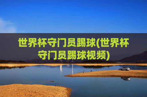 世界杯守门员踢球(世界杯守门员踢球视频)