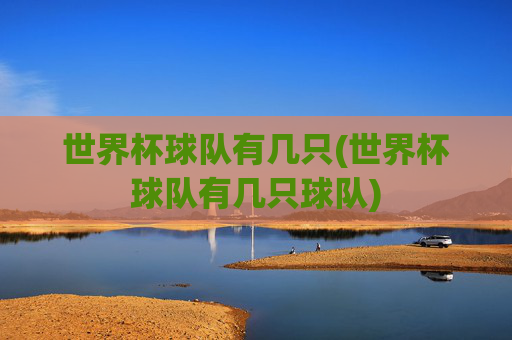世界杯球队有几只(世界杯球队有几只球队)