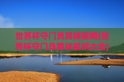世界杯守门员踢球视频(世界杯守门员踢球视频大全)