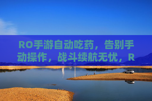 RO手游自动吃药,告别手动操作,战斗续航无忧,RO手游自动吃药功能,告别手动操作,战斗续航无忧