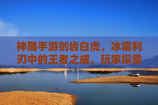 神雕手游剑齿白虎，冰霜利刃中的王者之威，玩家探索与挑战的新焦点，神雕手游剑齿白虎，冰霜利刃中的王者之威，玩家探索与挑战的新焦点