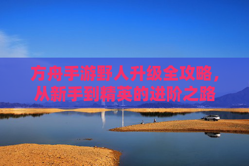 方舟手游野人升级全攻略，从新手到精英的进阶之路