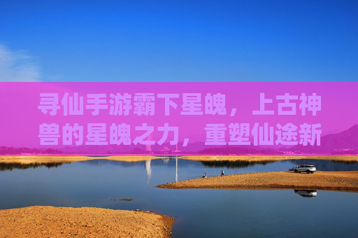 寻仙手游霸下星魄，上古神兽的星魄之力，重塑仙途新篇章，寻仙手游霸下星魄，上古神兽的星魄之力，重塑仙途新篇章