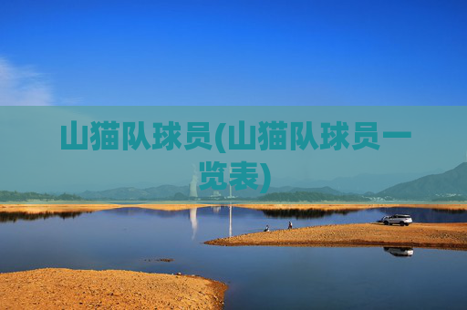 山猫队球员(山猫队球员一览表)