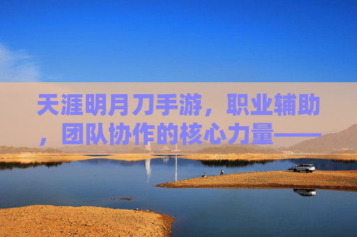 天涯明月刀手游，职业辅助，团队协作的核心力量——解析职业辅助的深度与魅力