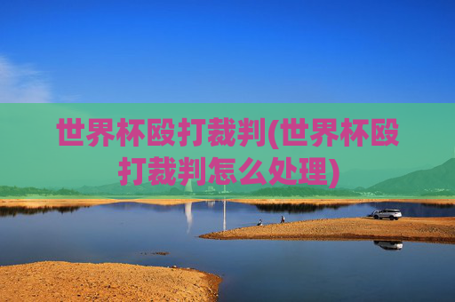 世界杯殴打裁判(世界杯殴打裁判怎么处理)