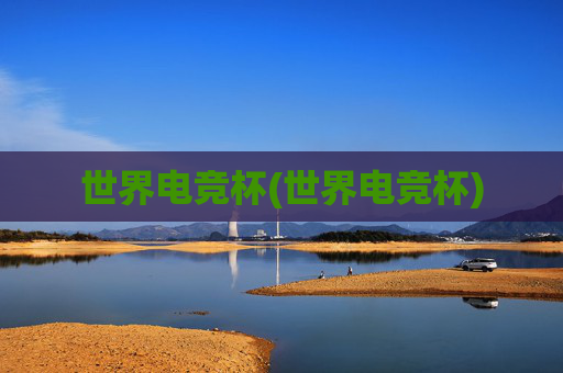 世界电竞杯(世界电竞杯)
