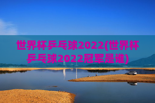 世界杯乒乓球2022(世界杯乒乓球2022冠军是谁)