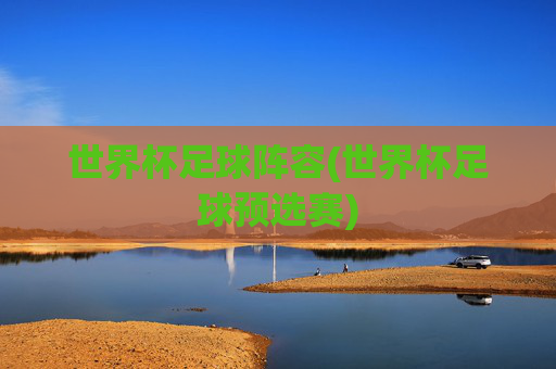 世界杯足球阵容(世界杯足球预选赛)