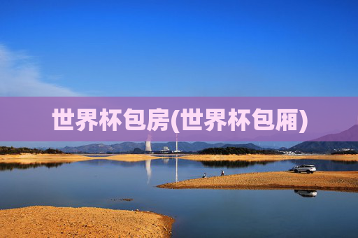 世界杯包房(世界杯包厢)