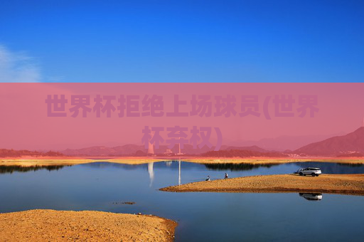 世界杯拒绝上场球员(世界杯弃权)