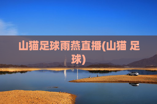 山猫足球雨燕直播(山猫 足球)