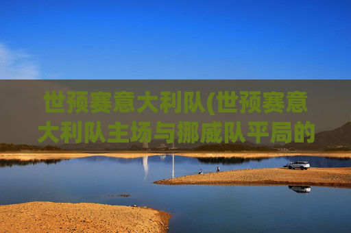 世预赛意大利队(世预赛意大利队主场与挪威队平局的概率大吗)