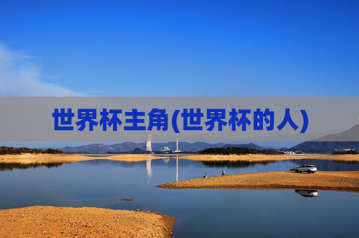 世界杯主角(世界杯的人)