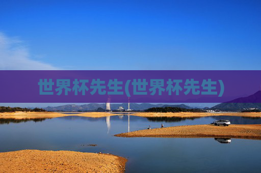 世界杯先生(世界杯先生)
