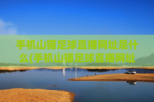 手机山猫足球直播网址是什么(手机山猫足球直播网址是什么啊)