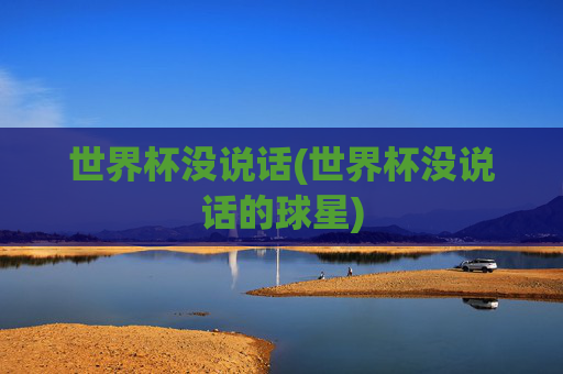 世界杯没说话(世界杯没说话的球星)
