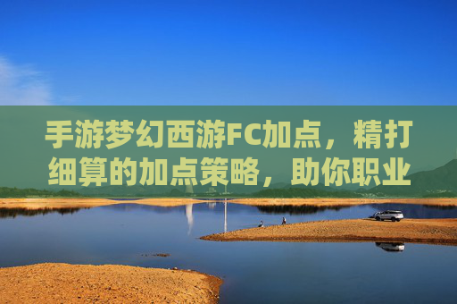 手游梦幻西游FC加点,精打细算的加点策略,助你职业进阶,手游梦幻西游FC加点,精打细算的加点策略,助你职业进阶