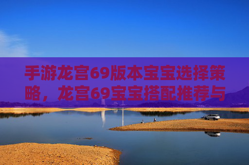 手游龙宫69版本宝宝选择策略，龙宫69宝宝搭配推荐与玩法解析