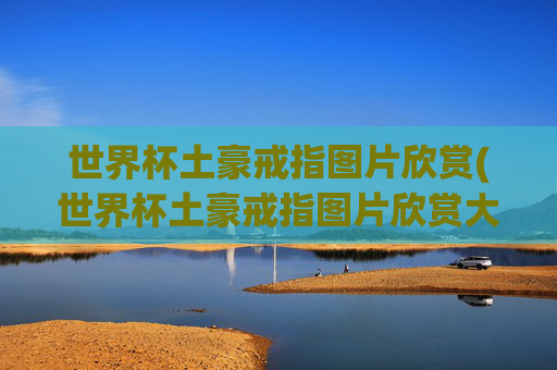 世界杯土豪戒指图片欣赏(世界杯土豪戒指图片欣赏大全)
